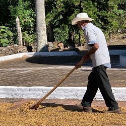 Klatch Coffee Organic Espresso Blend Coffee Beans