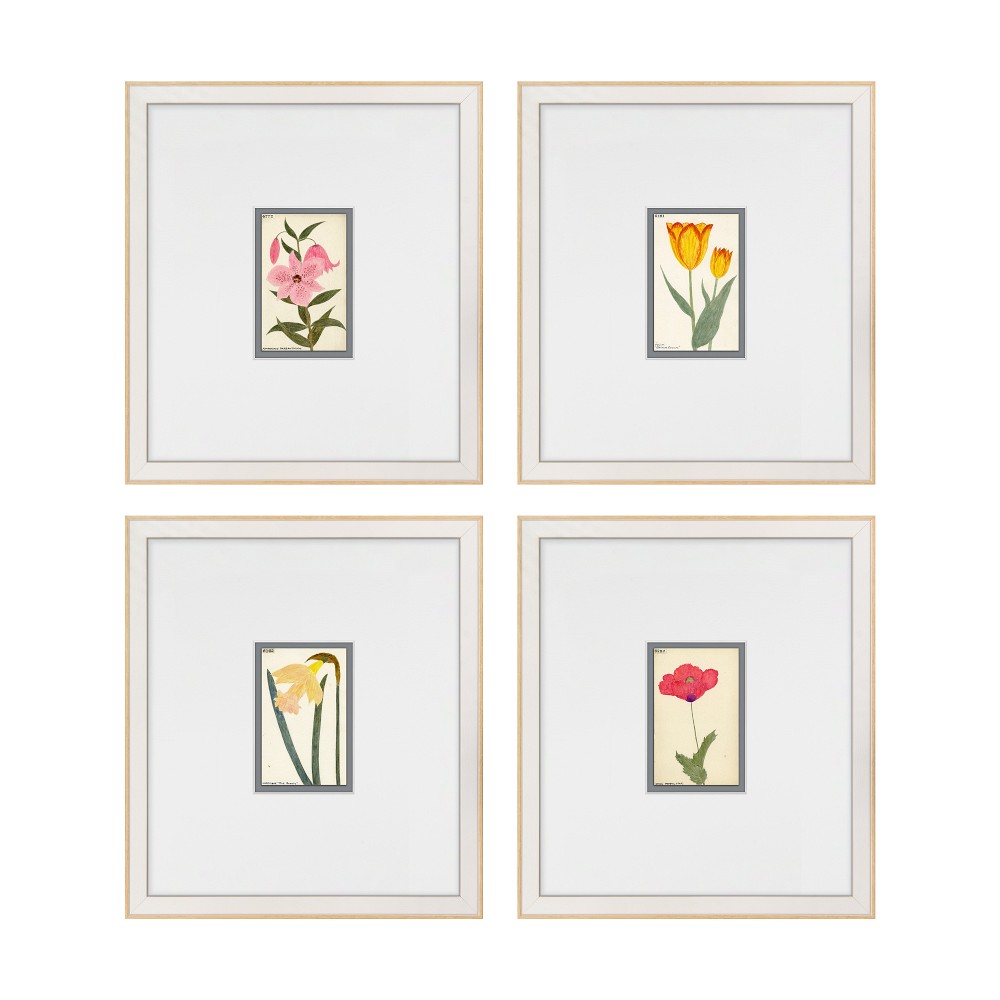 Hubbard Flower Illustrations