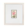Hubbard Flower Illustrations