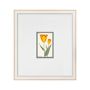Hubbard Flower Illustrations