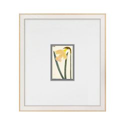 Hubbard Flower Illustrations