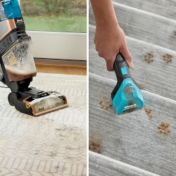 Shark&#174; CarpetXpert&#8482; with Stainstriker&#8482; Upright Deep Carpet Cleaner EX301