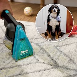 Shark&#174; CarpetXpert&#8482; with Stainstriker&#8482; Upright Deep Carpet Cleaner EX301