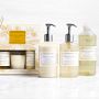 Williams Sonoma Meyer Lemon Dish Soap