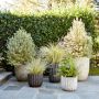 Maris Planter
