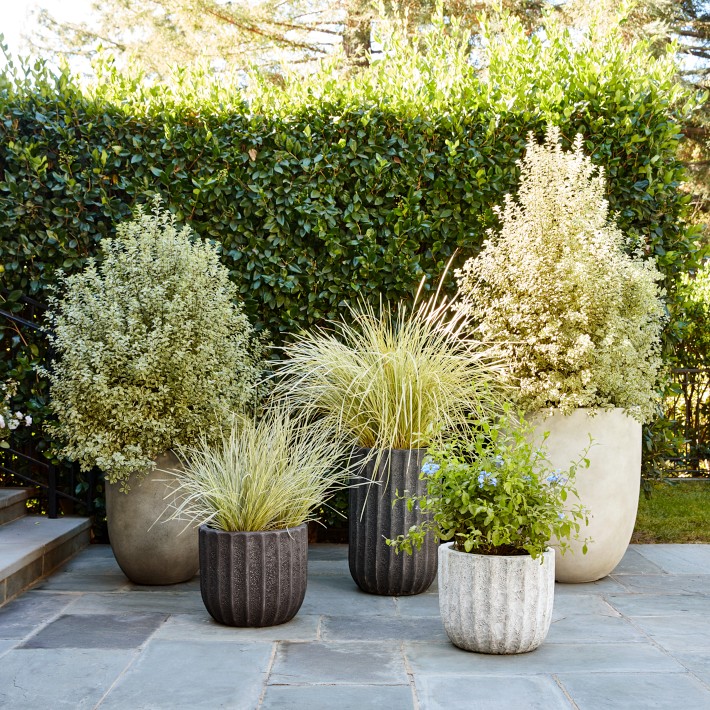 Maris Planter