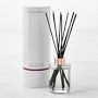 Home Fragrance Reed Diffuser Orchid & Fern