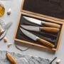 Schmidt Brothers Zebra Steak Knives, Set of 4