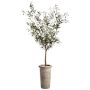 Faux Olive Tree in Cement Planter, 72"