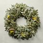 Farmhouse Sunrise Live Wreath, 24"