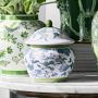 Green Ginger Jar, Multi