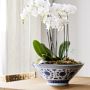 Ginger Jar Bowl, Blue and White