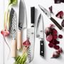 Shun Premier Limited Edition Try Me Paring Knife, 4&quot;