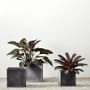 Sandhurst Planter