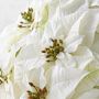 Jeff Leatham x Williams Sonoma Faux Holiday White Poinsettia