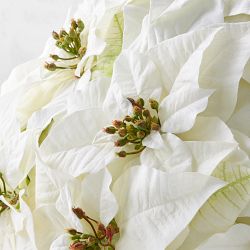 Jeff Leatham x Williams Sonoma Faux Holiday White Poinsettia