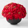 Jeff Leatham Faux  Holiday Red Poinsettia
