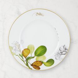 Amazonia Dinner Plates, Set of 4