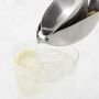 Williams Sonoma Stainless-Steel Citrus Wedge Juicer