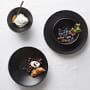 Apilco Reglisse Porcelain Dinnerware Collection