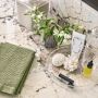 AERIN x Williams Sonoma Home Spiral Glass Bath Collection