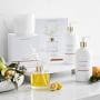 Home Fragrance Citrus &amp; Sage Collection