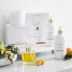 Home Fragrance Hand Lotion, Citrus &amp; Sage