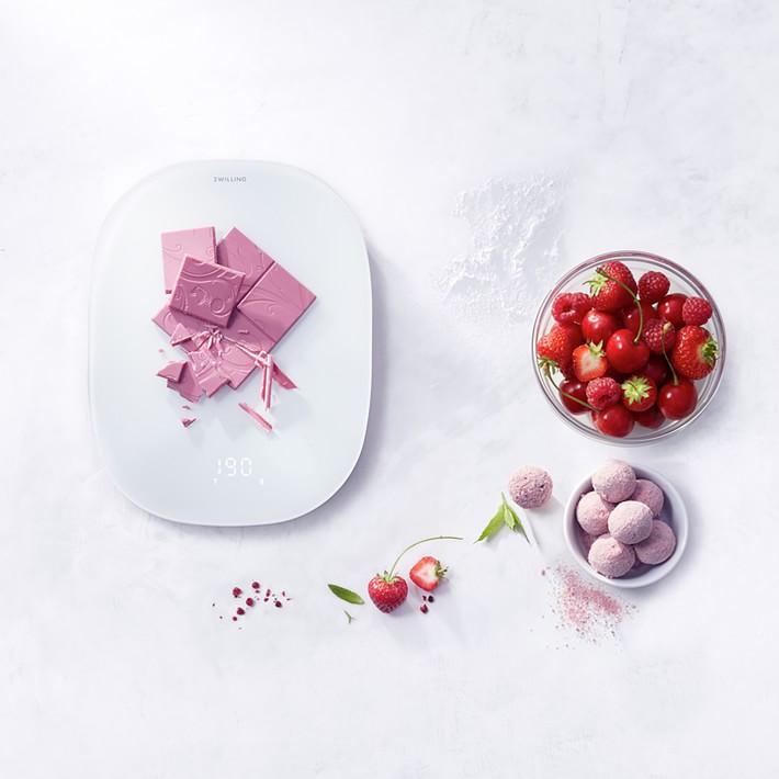 SALTER WILLIAMS-SONOMA アナログスケール Salter Bathroom Scales | Taylor 916WHSVLKR Analog Bathroom Scale