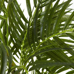 UV Resistant Faux Areca Palm, 42&quot;