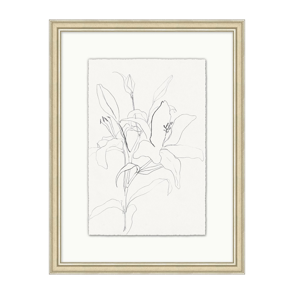 Floral Drawing 1