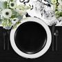 Open Kitchen by Williams Sonoma Matte Coupe Dinner Plates, Set of 4