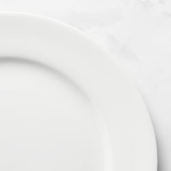 Apilco Tuilleries Porcelain Dinner Plates, Set of 4