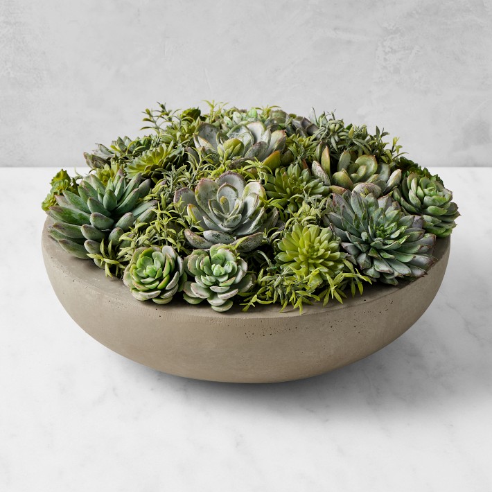 Jeff Leatham x Williams Sonoma Faux Succulents in Round Bowl, 6