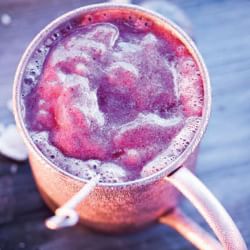 Vitamix Simply Entertaining Cookbook