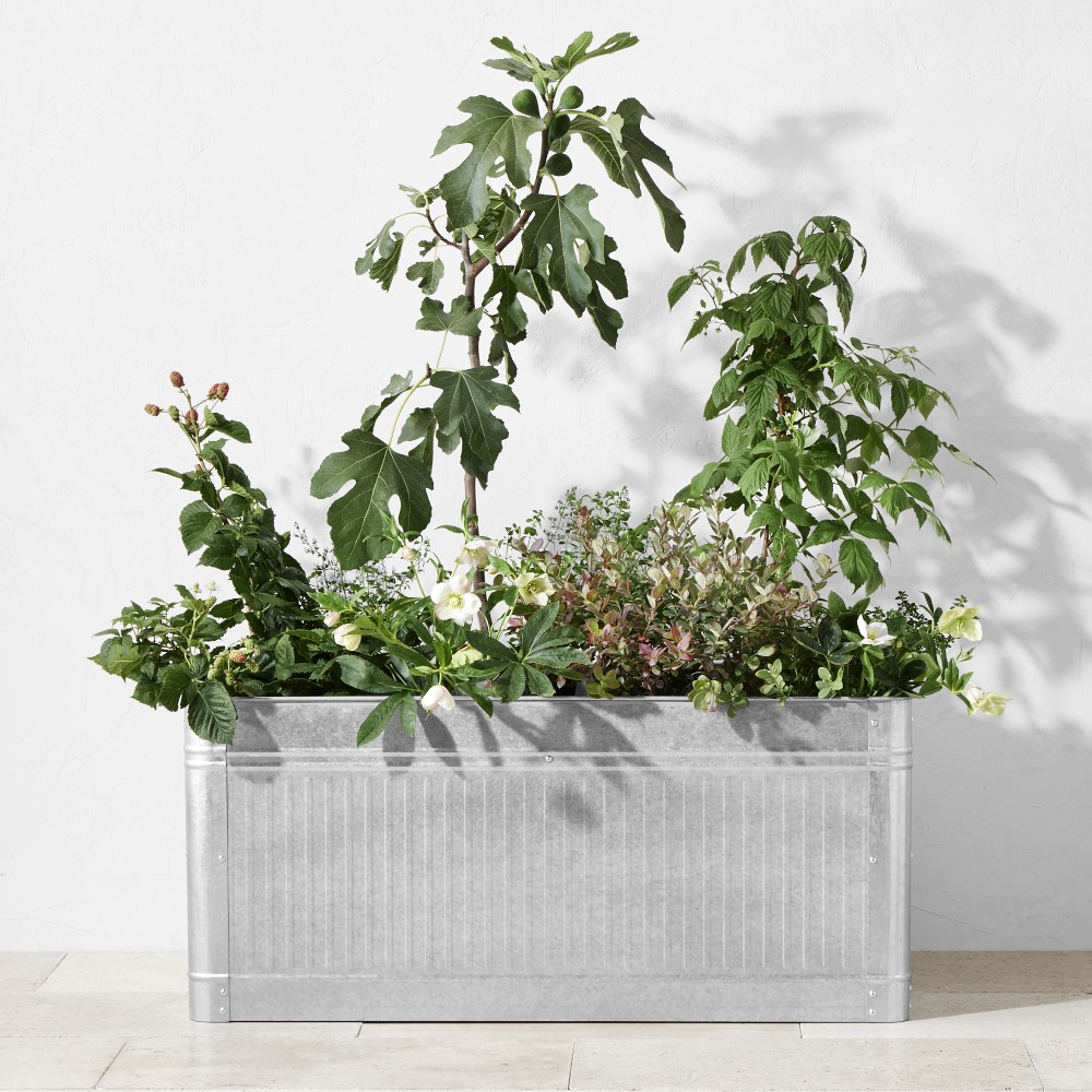 OPEN BOX: Vintage Galvanized Raised Planter, 40" x 18"