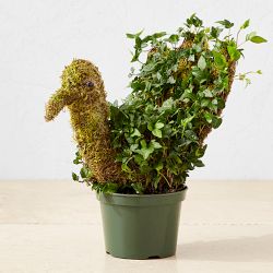 Ivy &amp; Moss Thanksgiving Turkey Topiary, 12&quot;