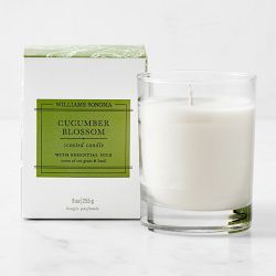 Williams Sonoma Essential Oils Cucumber Blossom Candle