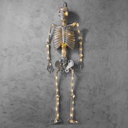 Madame Bonesworth Pre-Lit Silver Skeleton, 5.8'