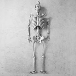 Madame Bonesworth Pre-Lit Silver Skeleton, 5.8'