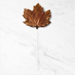 Williams Sonoma Chocolate Leaf Lollipop