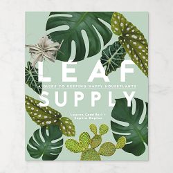 Leaf Supply: A Guide to Keeping Happy House Plants