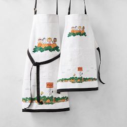 PEANUTS™ x Williams Sonoma The Great Pumpkin Apron, Adult