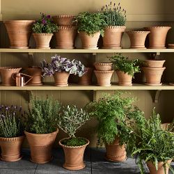 Williams Sonoma Terracotta Rope Planter
