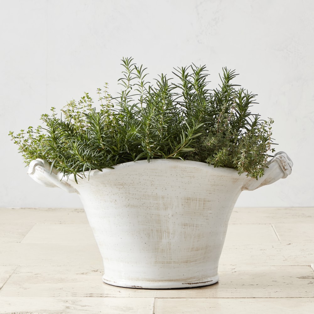 Avignon Basket Planter, Antique White, Tall