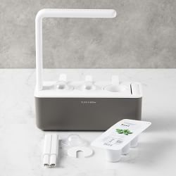 Click &amp; Grow Smart Garden System, 3 Pod, Grey