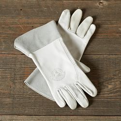 Gardeners Goat Skin Gloves, Small