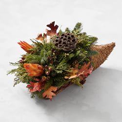 Thanksgiving Botanical Cornucopia