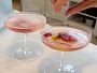 Video 1 for Williams Sonoma Sorbet Starter, Raspberry Lemon