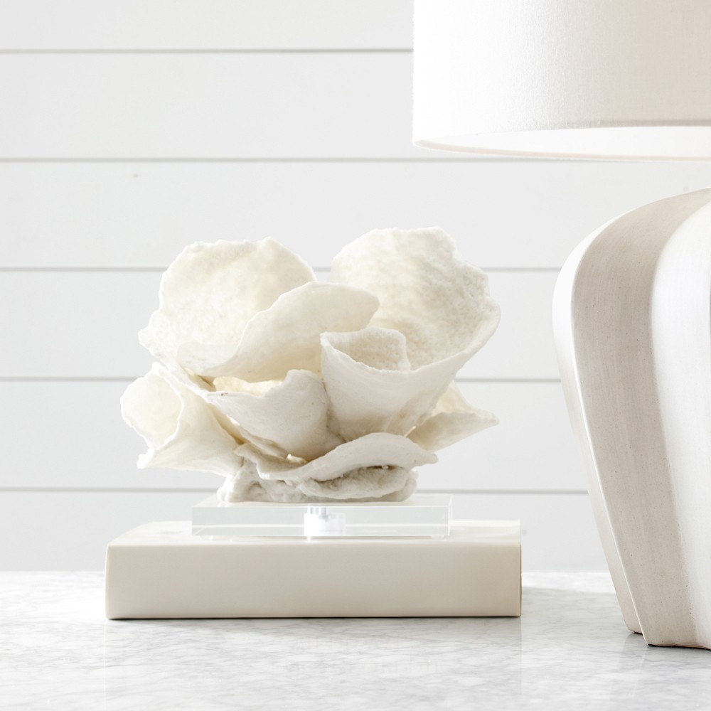 Oversized Coral on Stand