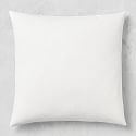 Down Pillow Insert, 22" X 22"